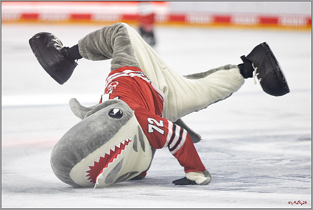 PENNY DEL;  Kölner Haie - EHC Red Bull München; Köln, 15.09.2022